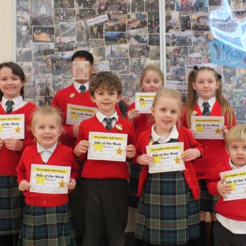 Stars Of The Week 