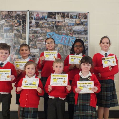 Stars Of The Week