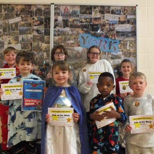 Stars Of The Week