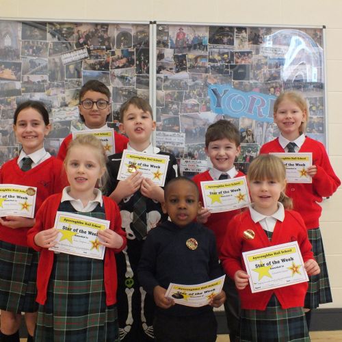 Stars Of Week 