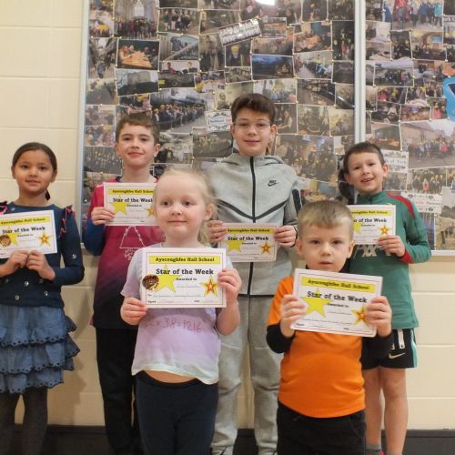 Stars Of The Week